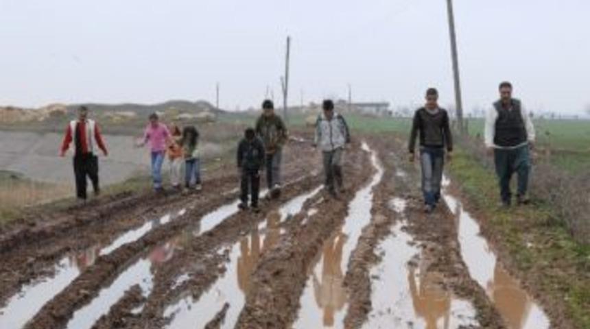 K&ouml;yl&uuml;lerin &Ccedil;amurlu Yol &Ccedil;ilesi