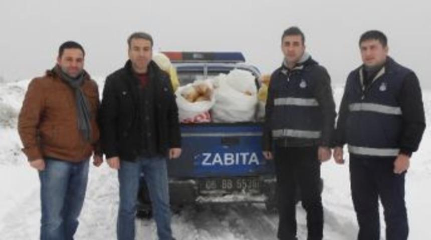 Pursaklar Zabıtası, Yaban Hayvanlarının İmdadına Yetişti