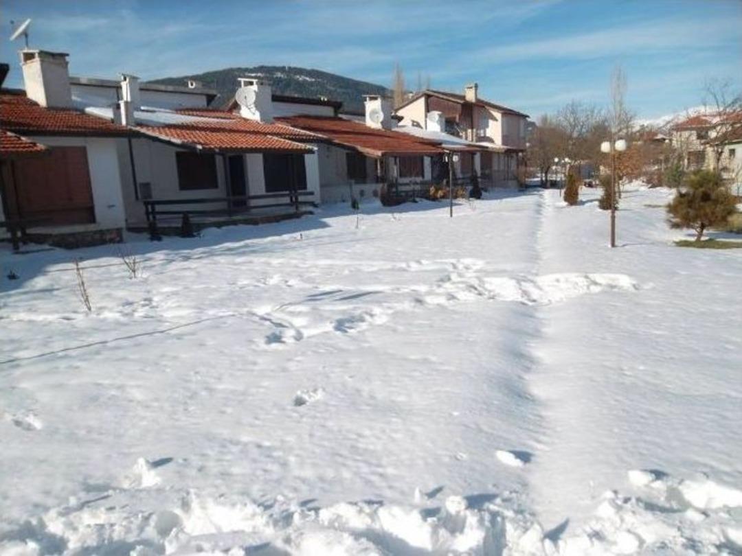 Donan G&ouml;l&uuml;n &Uuml;st&uuml;nde Kedi Gezdi