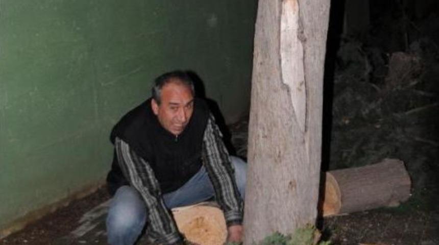 Fırtına Marmara'da Deniz Ulaşımını Aksatıyor (2)