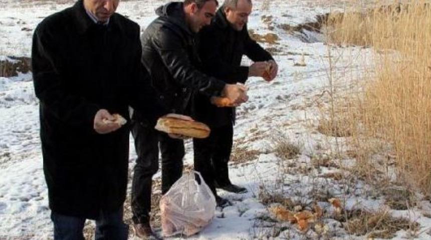 Darende'de Yaban Hayvanları I&ccedil;in Yem Bırakıldı