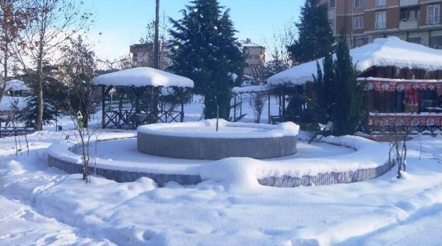 Soğuklar Bilecik&rsquo;de S&uuml;s Havuzlarını Dondurdu