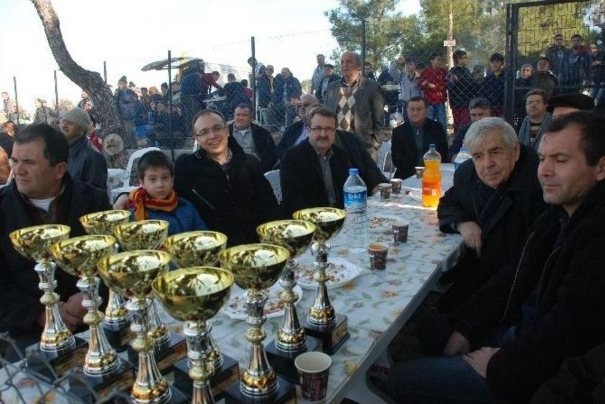 Bayrami&ccedil;&rsquo;te Deve G&uuml;reşi