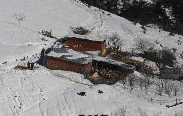 Helitaksi Mahsur Kalan Çobanlar İçin Havalandı 2