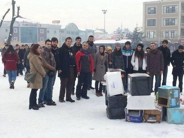 Sokak Hayvanlarına Yem Bıraktılar