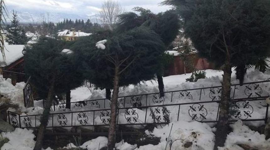 D&uuml;zce&rsquo;de Aşırı Kar Yağışı Ağa&ccedil;ları Devirdi