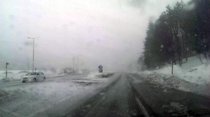 Bolu Dağında Kar Ve Sis Bir Arada