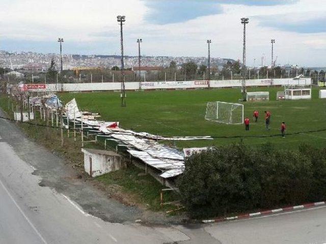Samsun da Şiddetli R&uuml;zgar Ağa&ccedil;ları Devirdi 1