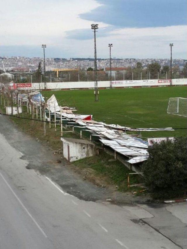 Samsun da Şiddetli R&uuml;zgar Ağa&ccedil;ları Devirdi 2