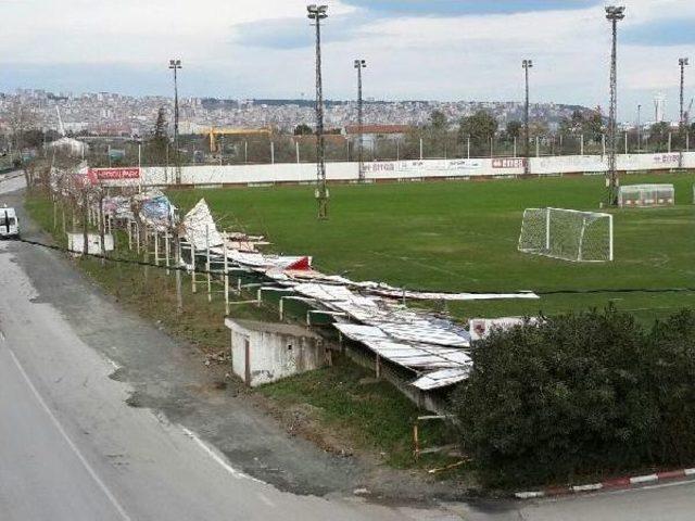Samsun da Şiddetli R&uuml;zgar Ağa&ccedil;ları Devirdi 3