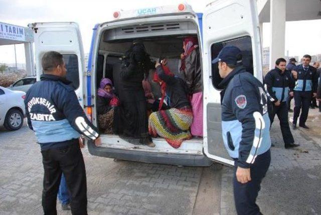 Şanlıurfa’Da Dilenen Suriyeliler, Gaziantep’Teki Kamplara Gönderildi