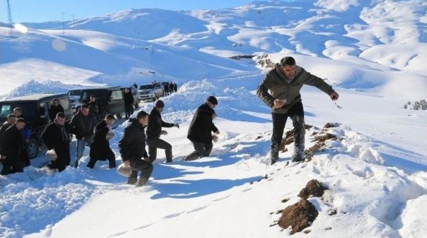 Keklikler İ&ccedil;in Doğaya Yem Bırakıldı