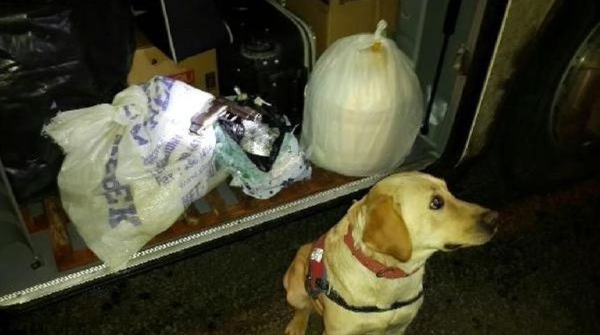 Yolcu Otob&uuml;s&uuml;nde Uyuşturucu Ve Tabancaya G&ouml;zaltı