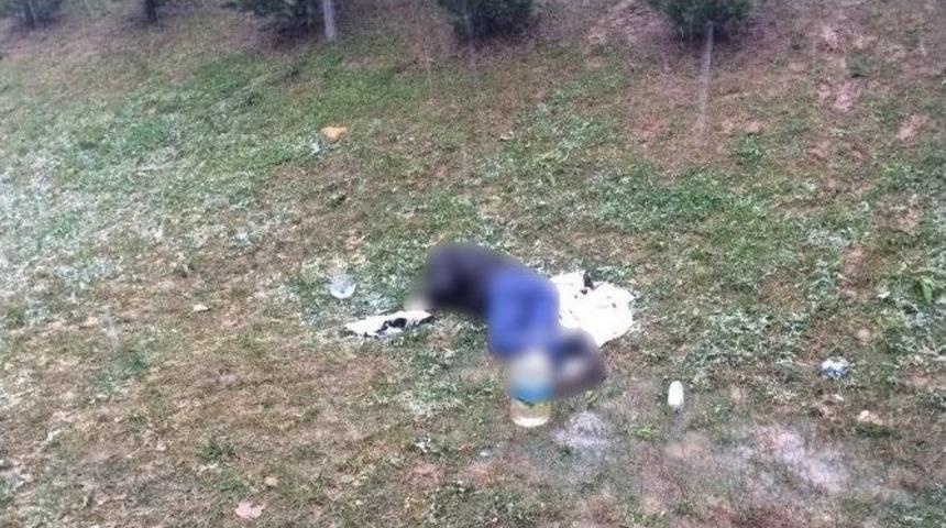 Bonzai İ&ccedil;en Gen&ccedil;, Donarak Hayatını Kaybetti