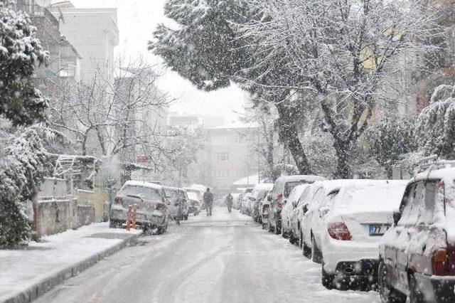 Yalova Kara Teslim Oldu