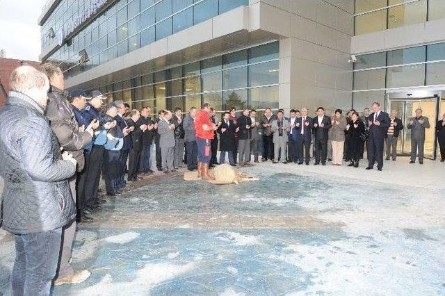 Biga Belediyesi Yeni Binasında Hizmete Başladı