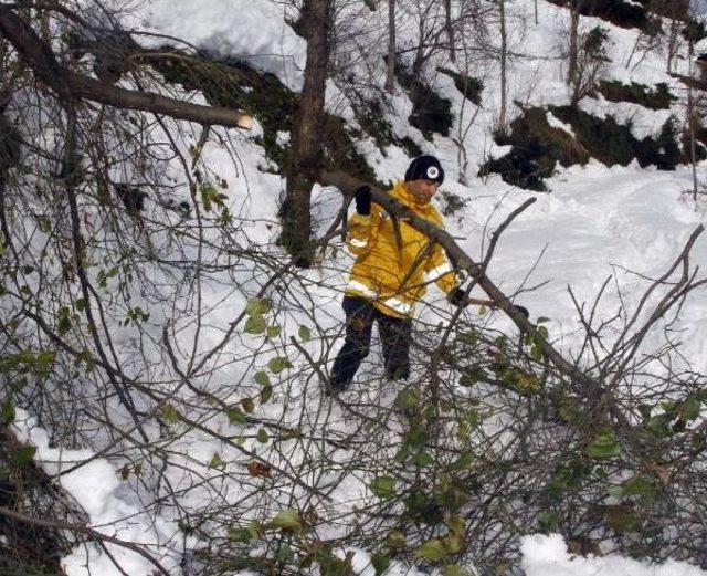 Ateşlenen 3 Yaşındaki Murat, Paletli Ambulansla Kurtarıldı