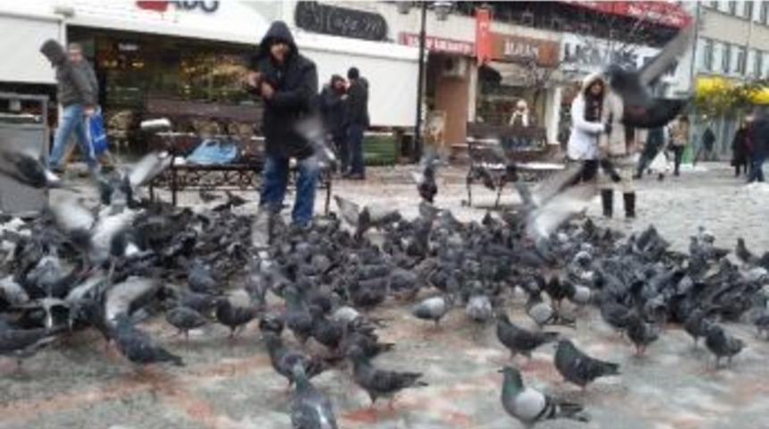 Karlı Havada G&uuml;vercinleri Unutmadı