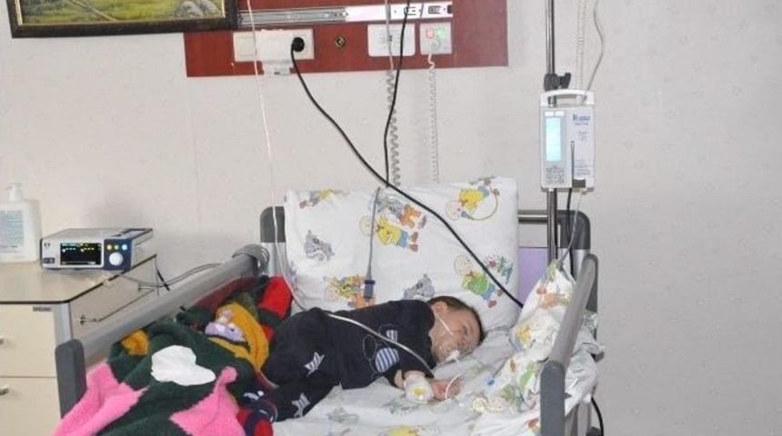 Arda Bebek, Aileyi Kurtardı