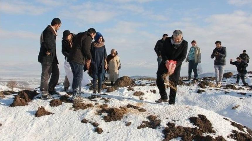 Sokak Hayvanlarını Beslediler