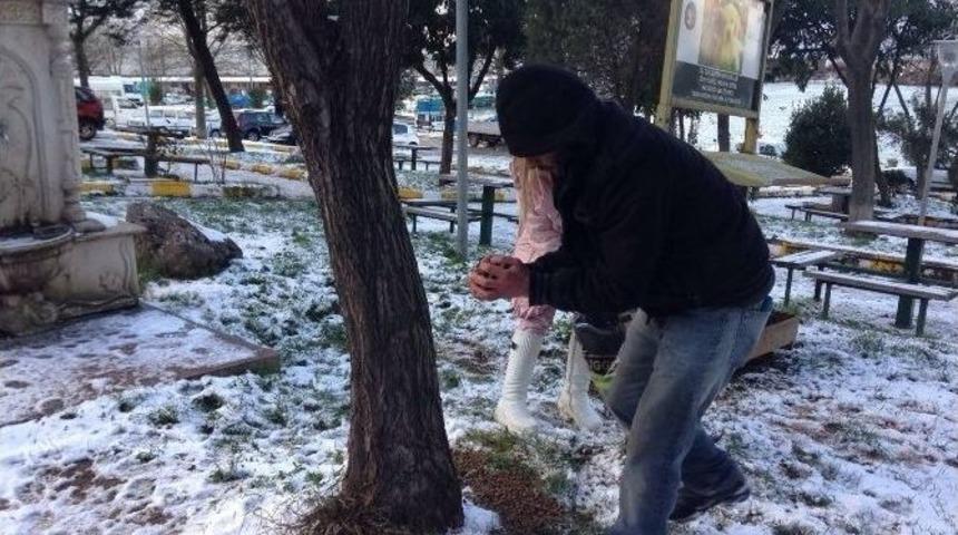 Ak&ccedil;akoca Belediyesi Sokak Hayvanlarına Yiyecek Dağıtıyor