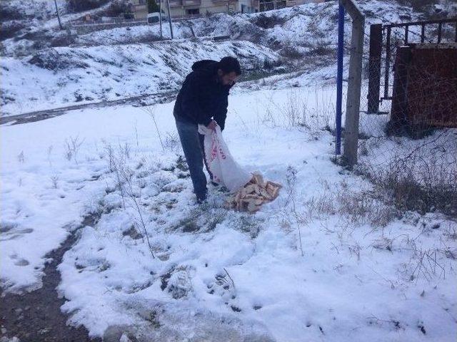 Akçakoca Belediyesi Sokak Hayvanlarına Yiyecek Dağıtıyor