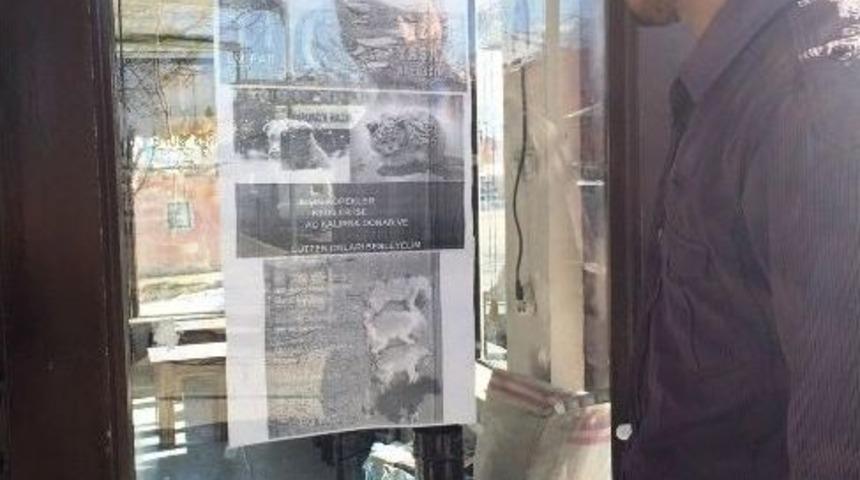 &Ouml;ğretmenin Duyarlılık &Ccedil;ağrısı Takdir Topladı