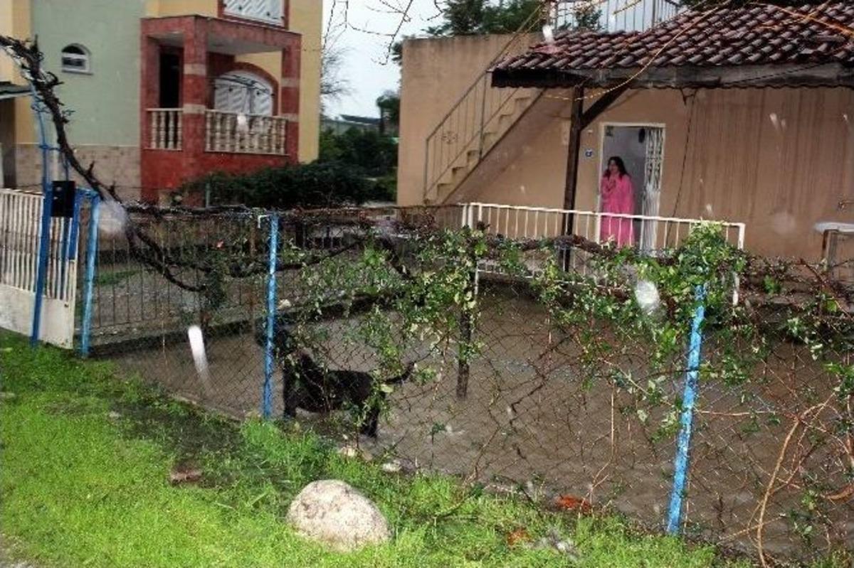 Kemer&rsquo;de Evini Su Basan &Uuml;&ccedil; Kişilik Aile &Ouml;l&uuml;mden D&ouml;nd&uuml;