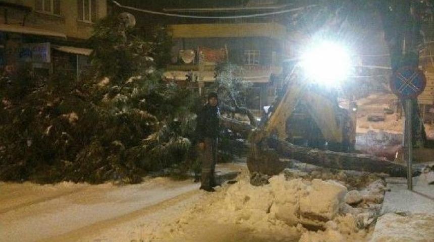 Denizli'de Kar Ve Şiddetli R&uuml;zgar Hayatı Olumsuz Etkiliyor