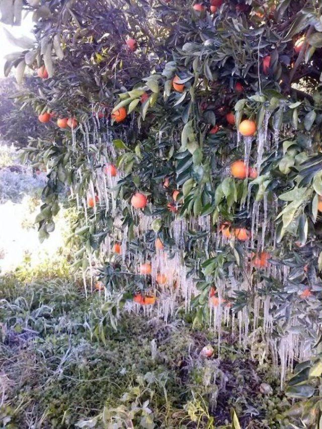 Antalya da Fırtına Ve Yağmur Yaşamı Fel&ccedil; Etti, Okullar Tatil Edildi (4) 1