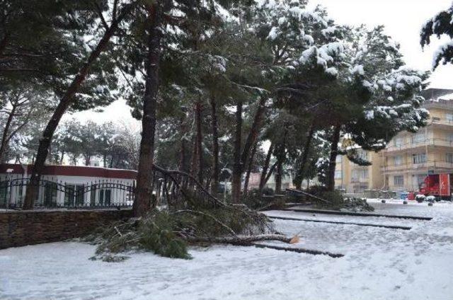 Kula Ve Sarıgöl'de Kar Yağışı