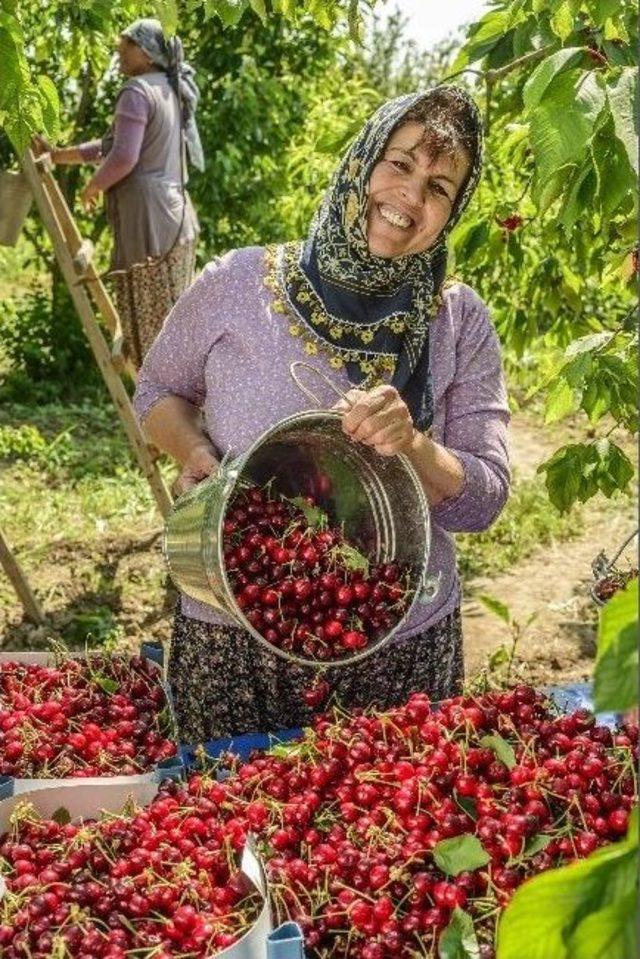 İşte İzmir Farkı