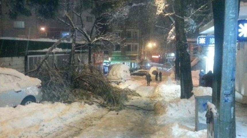 Bilecik&rsquo;te &Ccedil;ileli Kış Hayatı