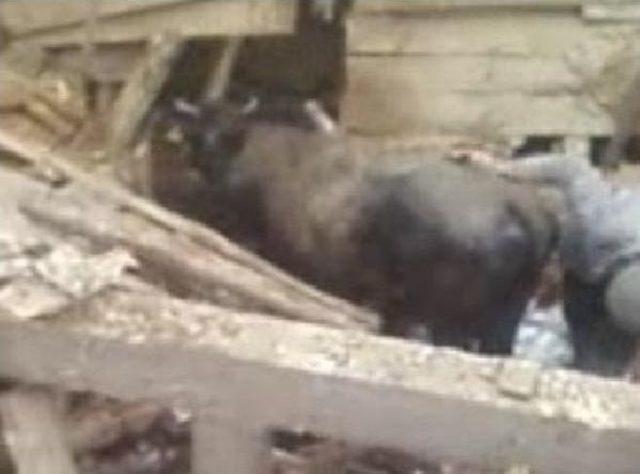 D&uuml;ğ&uuml;n Salonunun &Ccedil;atısı &Ccedil;&ouml;kt&uuml; 2