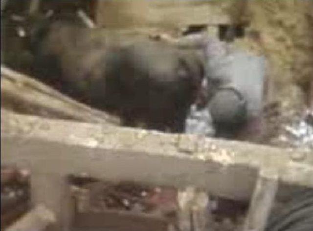 D&uuml;ğ&uuml;n Salonunun &Ccedil;atısı &Ccedil;&ouml;kt&uuml; 3