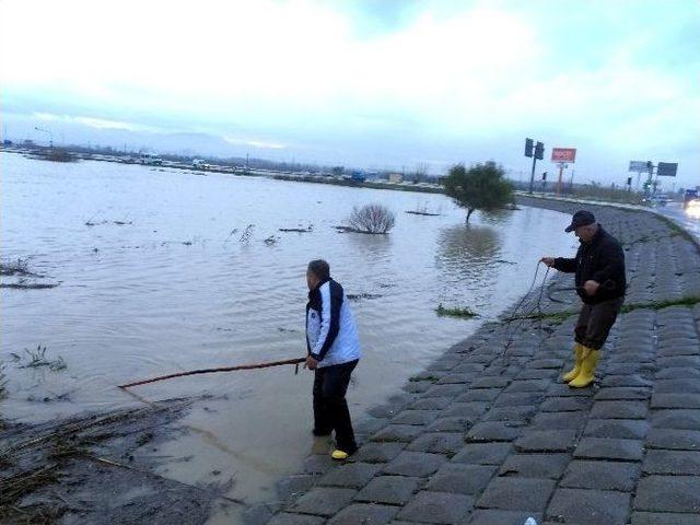 Balık Değil, Arabaya Kanca Attılar