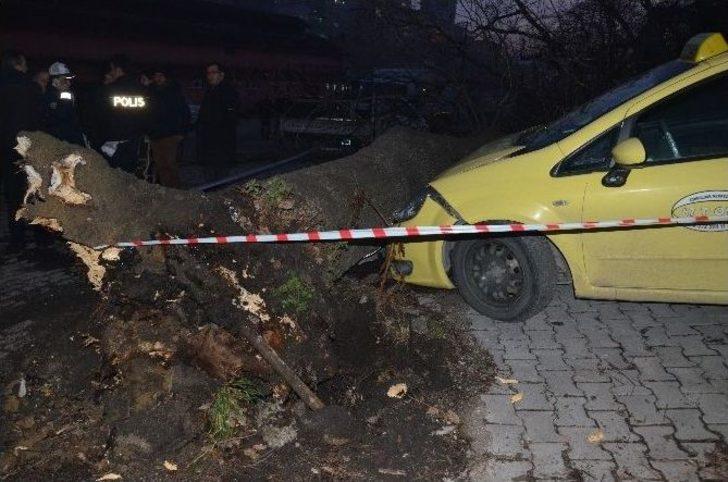 Faciaya Kıl Payı G2