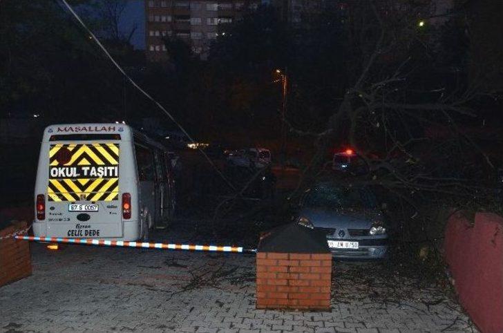 Faciaya Kıl Payı G3