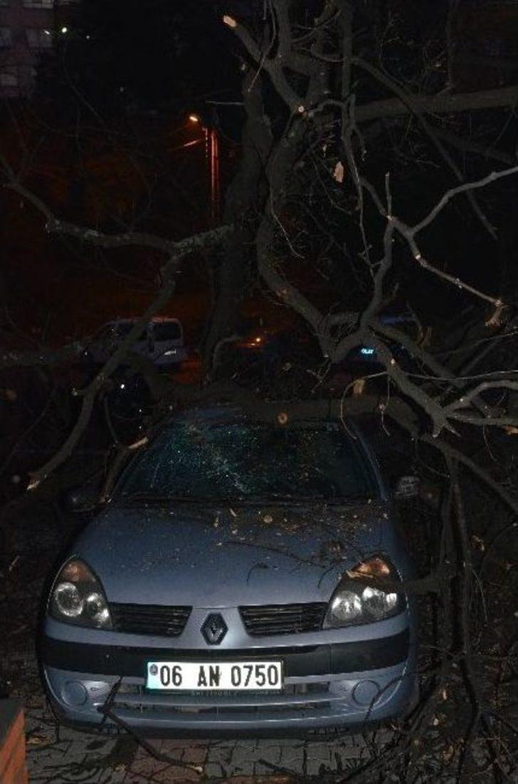 Faciaya Kıl Payı G4