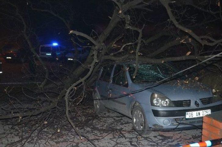 Faciaya Kıl Payı G5