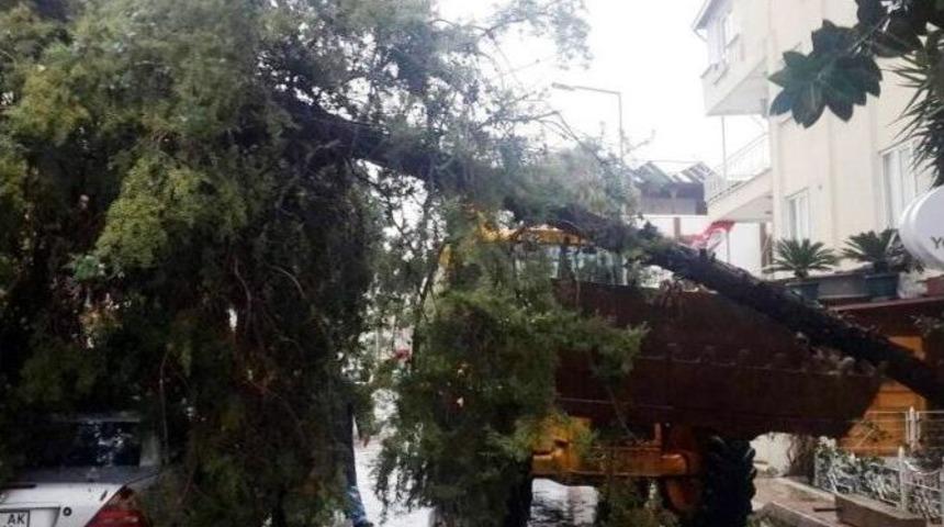 Muratpaşa&rsquo;da &Ouml;zel Seyyar Ekipler