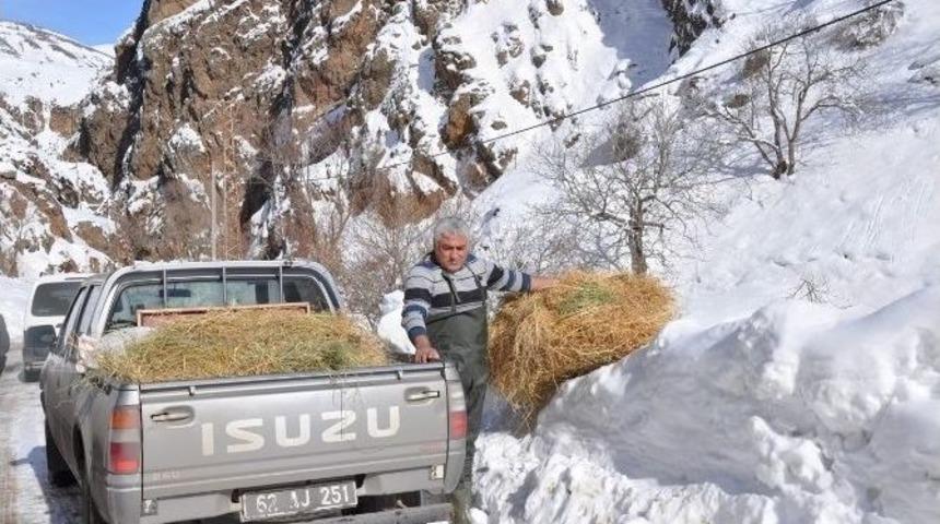 Zorda Kalan Yaban Hayvanları İ&ccedil;in Doğaya Yem Bırakıldı