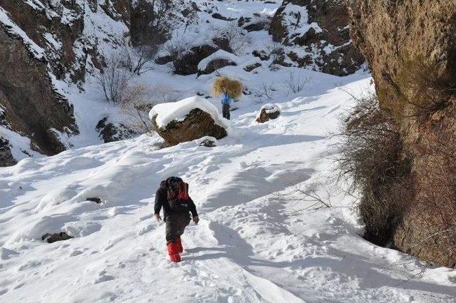 Zorda Kalan Yaban Hayvanları İçin Doğaya Yem Bırakıldı