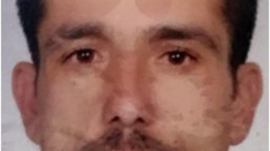 Bonzai Bir Can Daha Aldı