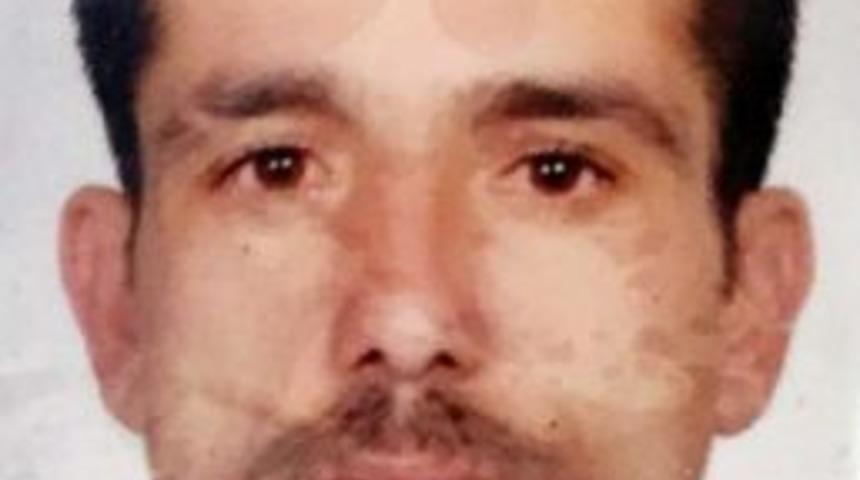 Boznaiye Bir Kurban Da Kocaeli'den