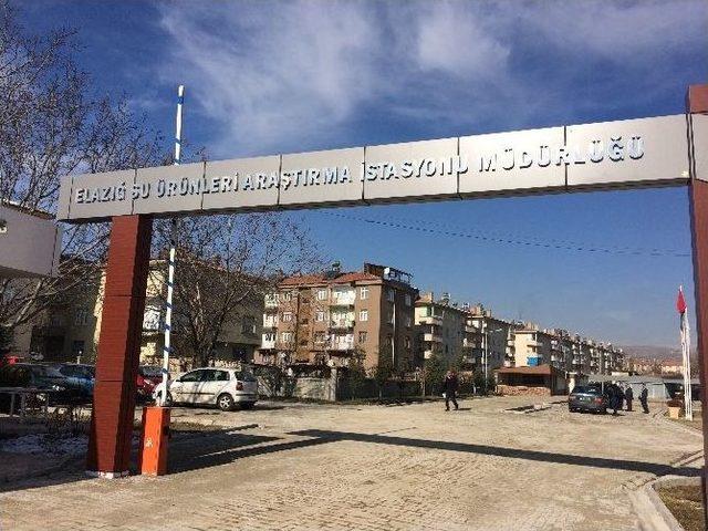 Balık&ccedil;ıların Sosta Ekonomik Yapısını 1 Milyon Liralık Proje İyileştirecek 1