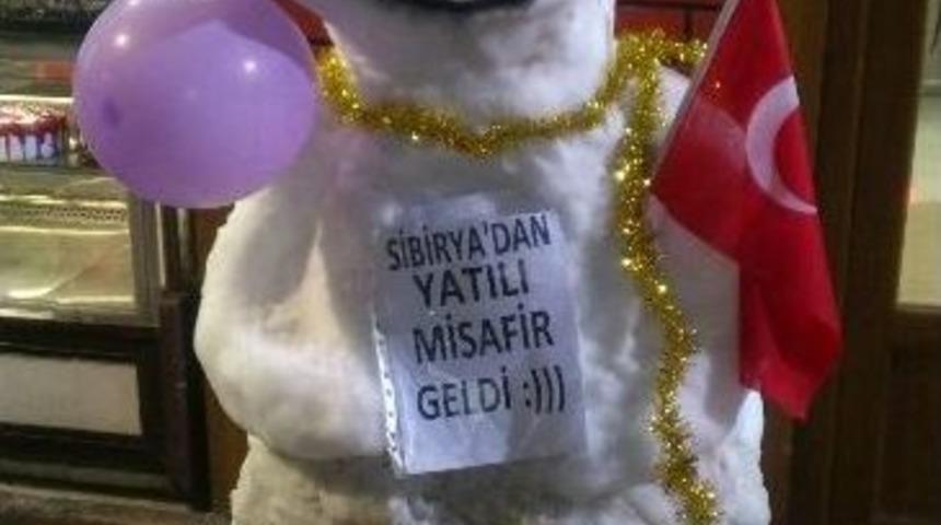 Eskişehir&rsquo;e &rsquo;sibirya&rsquo;dan Yatılı Misafir Geldi&rsquo;