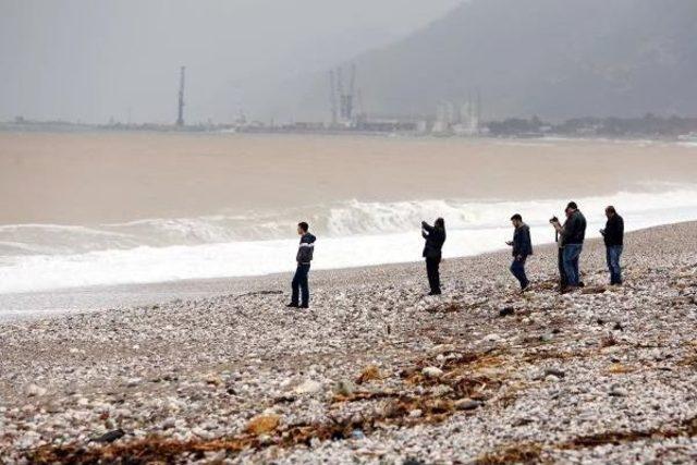 Antalya'da Fırtınanın Etkisi Sürüyor