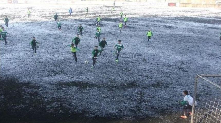 Minik Timsahlar Karda &Ccedil;alıştı