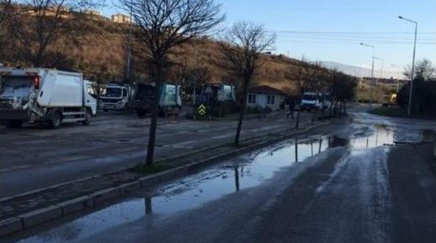 Bu Da &Ccedil;&ouml;p Kuyruğu